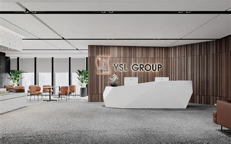 ysl office|ysl netscaler.